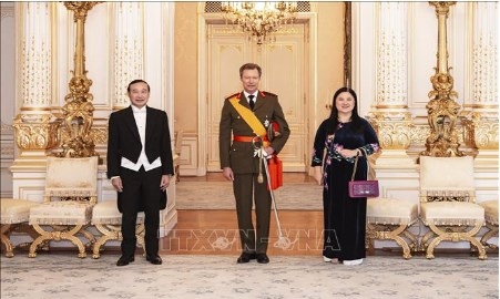 Luxembourg keen to expand all-around cooperation with Vietnam